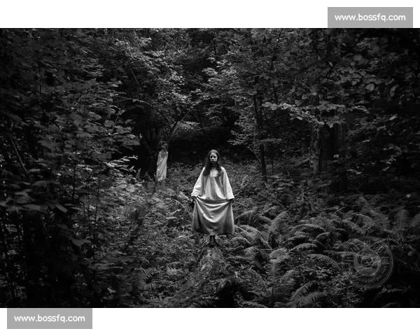 《中国国际新闻摄影比赛:展示全球新闻视角与影像力量》