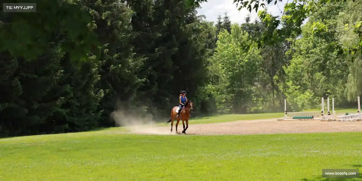 milan米兰🥊握紧拳头，每一次对抗都是成长的勋章！